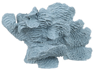 Thumbnail 2: 9x5x6 Textured Coral Home Accent 