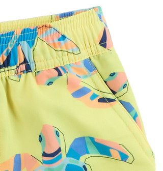 Thumbnail 3: Andy & Evan Boys Swim Trunks 