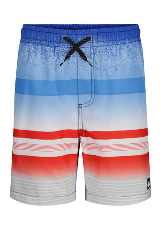 Thumbnail 2: Quiksilver Boys Swim Shorts 