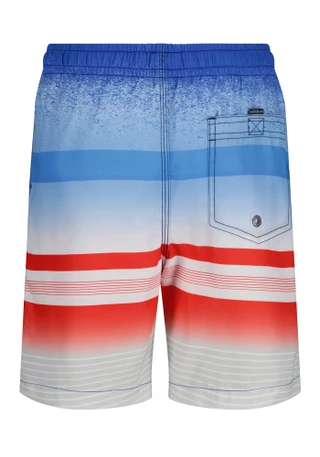Thumbnail 10: Quiksilver Boys Swim Shorts 