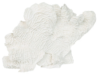 Thumbnail 1: 9x5x6 Textured Coral Home Accent 