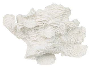 Thumbnail 2: 9x5x6 Textured Coral Home Accent 