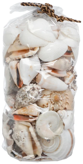 Thumbnail 1: Contrast 10x5 Bag of Shells 