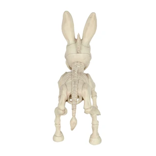 Thumbnail 2: Magical Season 14 in Donkey Skeleton Halloween Home Accent 