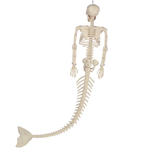Thumbnail 2: Magical Season 23 in Skeleton Mermaid Halloween Home Accent 