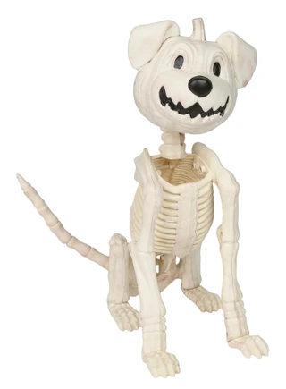 Thumbnail 1: Magical Season Halloween Pumpkin Head Dog Skeleton  