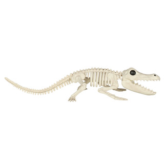 Thumbnail 2: Magical Season 18 in Crocodile Skeleton Halloween Home Accent 