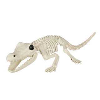 Thumbnail 1: Magical Season 18 in Crocodile Skeleton Halloween Home Accent 