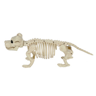 Thumbnail 2: Magical Season 20 in Puppy Skeleton Bonez Halloween Home Accent 