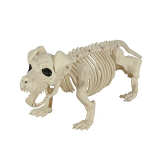 Thumbnail 1: Magical Season 20 in Puppy Skeleton Bonez Halloween Home Accent 