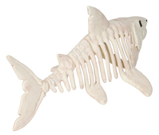 Thumbnail 2: Magical Season 26 in Shark Skeleton Halloween Home Accent 