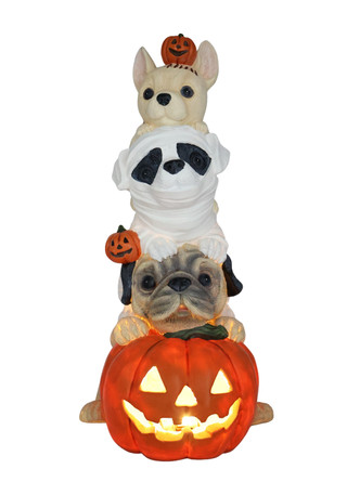 Thumbnail 1: Magical Season 24 in Stacked Dogs Pumpkin Halloween Home Accent 