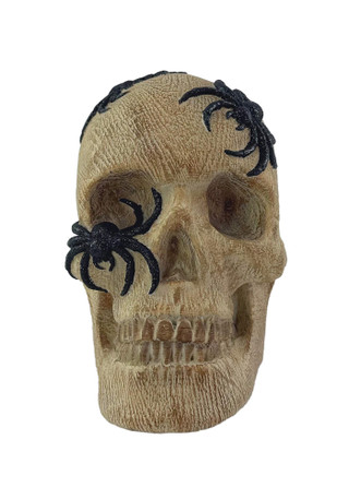 Thumbnail 1: Magical Season 6 in Wood Grain Spider Skull Halloween Home Accent  