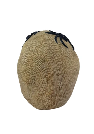 Thumbnail 2: Magical Season 6 in Wood Grain Spider Skull Halloween Home Accent  