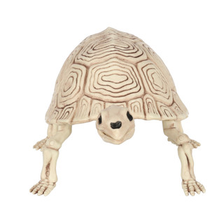 Thumbnail 3: Magical Season 14 in Skeleton Turtle Halloween Home Accent 