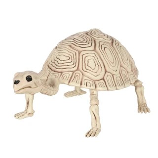 Thumbnail 1: Magical Season 14 in Skeleton Turtle Halloween Home Accent 