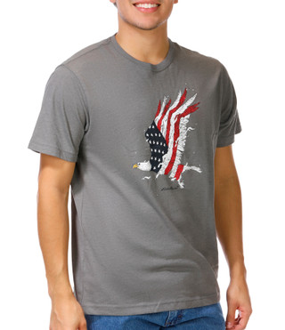 Thumbnail 1: Eddie Bauer Men's Americana Soaring Patriot Graphic Tee 