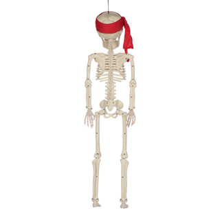 Thumbnail 2: Magical Season 36'' Hanging Pirate Skeleton Halloween Decor 