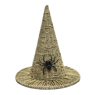 Thumbnail 1: Magical Season 15 in Witch Hat Spider Halloween Home Accent 
