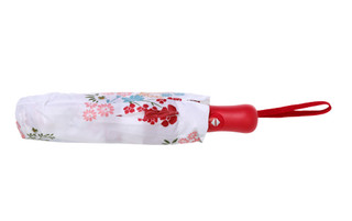Thumbnail 2: Sugar Auto Open & Close Umbrella 