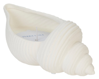 Thumbnail 2: Sagebrook Home 14 oz Sea Salt Shell Candle 