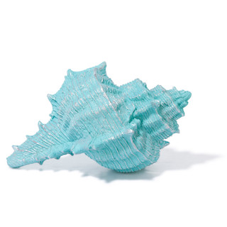 Thumbnail 3: Fancy That 17 in Seashell Home Decor 