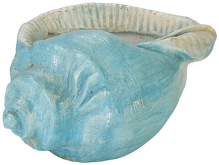 Thumbnail 2: Fancy That 19 in Shell Planter 