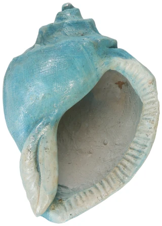 Thumbnail 1: Fancy That 19 in Shell Planter 