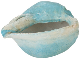 Thumbnail 3: Fancy That 19 in Shell Planter 