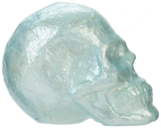 Thumbnail 3: Magical Season 7 in Handmade Capiz Skull Halloween Decor  