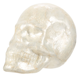 Thumbnail 1: Magical Season 7 in Handmade Capiz Skull Halloween Decor 
