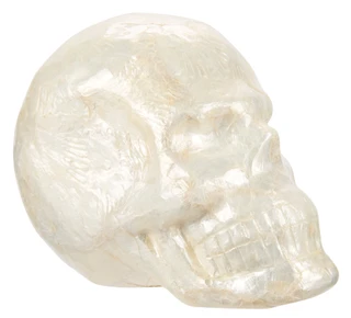 Thumbnail 2: Magical Season 7 in Handmade Capiz Skull Halloween Decor 