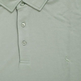 Thumbnail 3: TAILORBYRD Men's Short Sleeve Solid Golf Polo 