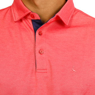 Thumbnail 4: TAILORBYRD Men's Short Sleeve Solid Golf Polo 