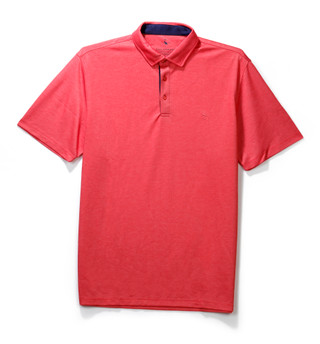 Thumbnail 2: TAILORBYRD Men's Short Sleeve Solid Golf Polo 