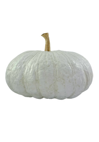 Thumbnail 2: Autumn Gatherings 10 in Resin Lumpy Pumpkin Harvest Home Accent 