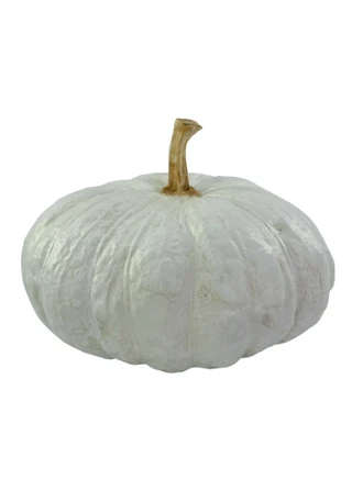 Thumbnail 1: Autumn Gatherings 10 in Resin Lumpy Pumpkin Harvest Home Accent 