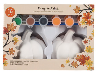 Thumbnail 1: 16 Pc Paint Your Own Plaster Halloween Pumpkin Set 