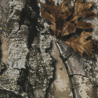 Thumbnail 3: TRUE TIMBER Men's Long Sleeve Print Shirt 