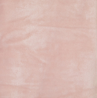 Thumbnail 2: RACHEL ZOE 60x70 Solid Plush Throw Blanket 