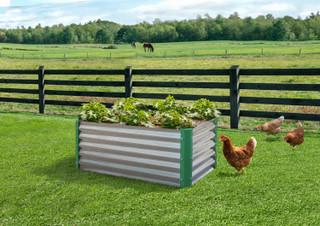 Thumbnail 2: MIRACLE-GRO® MIRACLE-GRO® 2 x 4 x 2 Ft. Galvanized Raised Garden Bed 