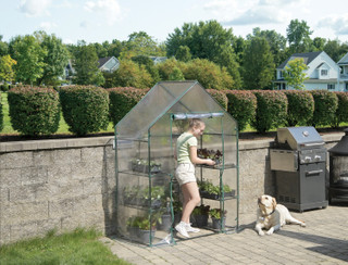 Thumbnail 8: MIRACLE-GRO® MIRACLE-GRO® 4.8 x 2.9 x 6.5 Ft. Mini Greenhouse 