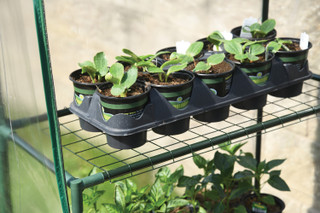Thumbnail 9: MIRACLE-GRO® MIRACLE-GRO® 4.8 x 2.9 x 6.5 Ft. Mini Greenhouse 