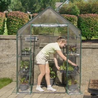 Thumbnail 14: MIRACLE-GRO® MIRACLE-GRO® 4.8 x 2.9 x 6.5 Ft. Mini Greenhouse 