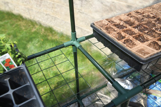 Thumbnail 5: MIRACLE-GRO® MIRACLE-GRO® 4.8 x 4.8 x 6.5 Ft. Mini Greenhouse 