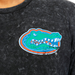 Thumbnail 2: Park Fields Men's Florida Gators Graphic Tee 