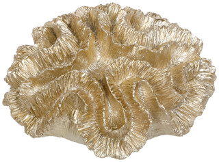 Thumbnail 1: Fancy That 12 In Golden Brain Coral Decor 
