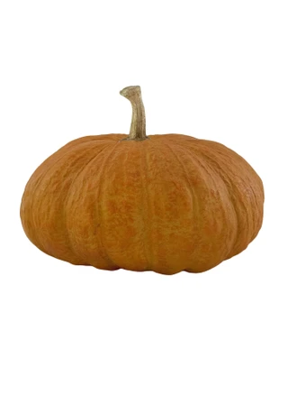 Thumbnail 2: Autumn Gatherings 10 in Resin Lumpy Pumpkin Harvest Home Accent 