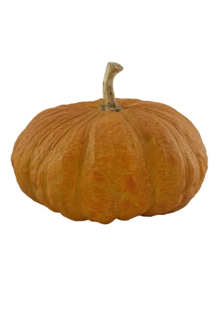 Thumbnail 1: Autumn Gatherings 10 in Resin Lumpy Pumpkin Harvest Home Accent 