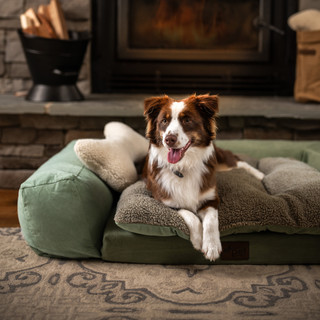 Thumbnail 7: Carolina Pet Company Rectangle Pet Couch 